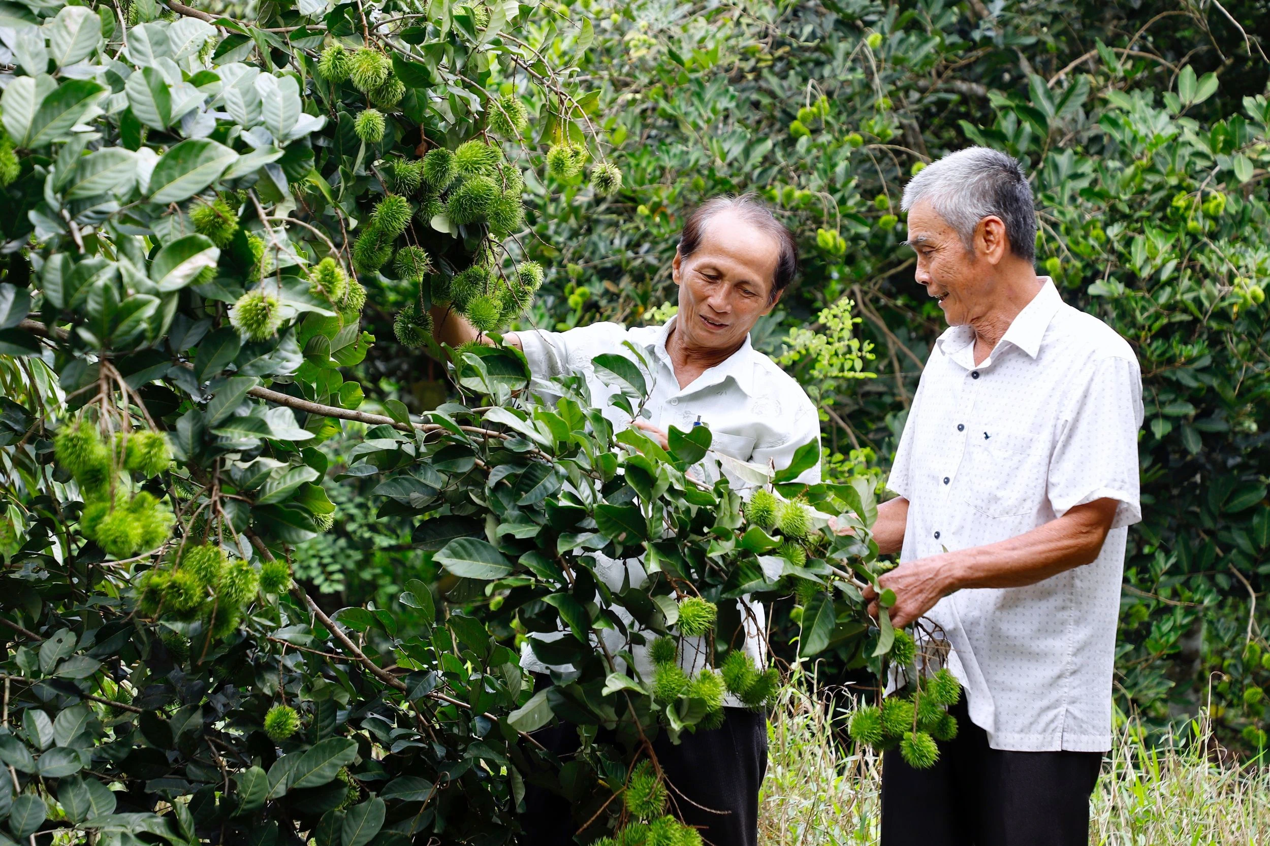 Năng động làm giàu